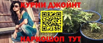 spice Будённовск