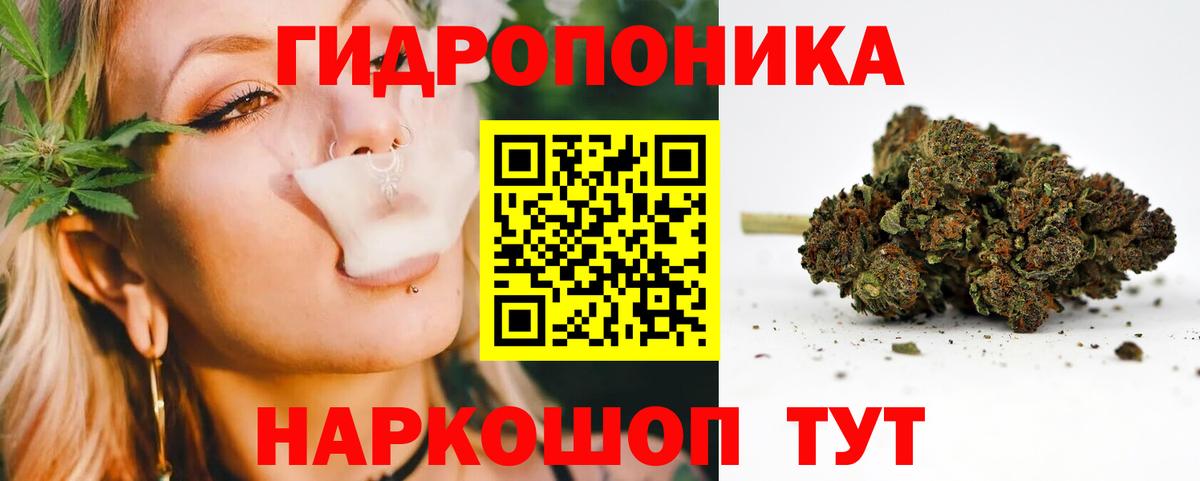 Тельмана  Бошки марихуана планчик  Марихуана сатива  Бошки марихуана индика  Вход с VPN 